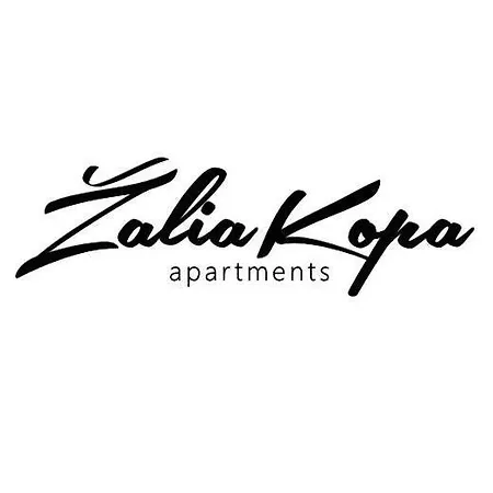 Holiday home Zalia Kopa Seaside Kunigiskes